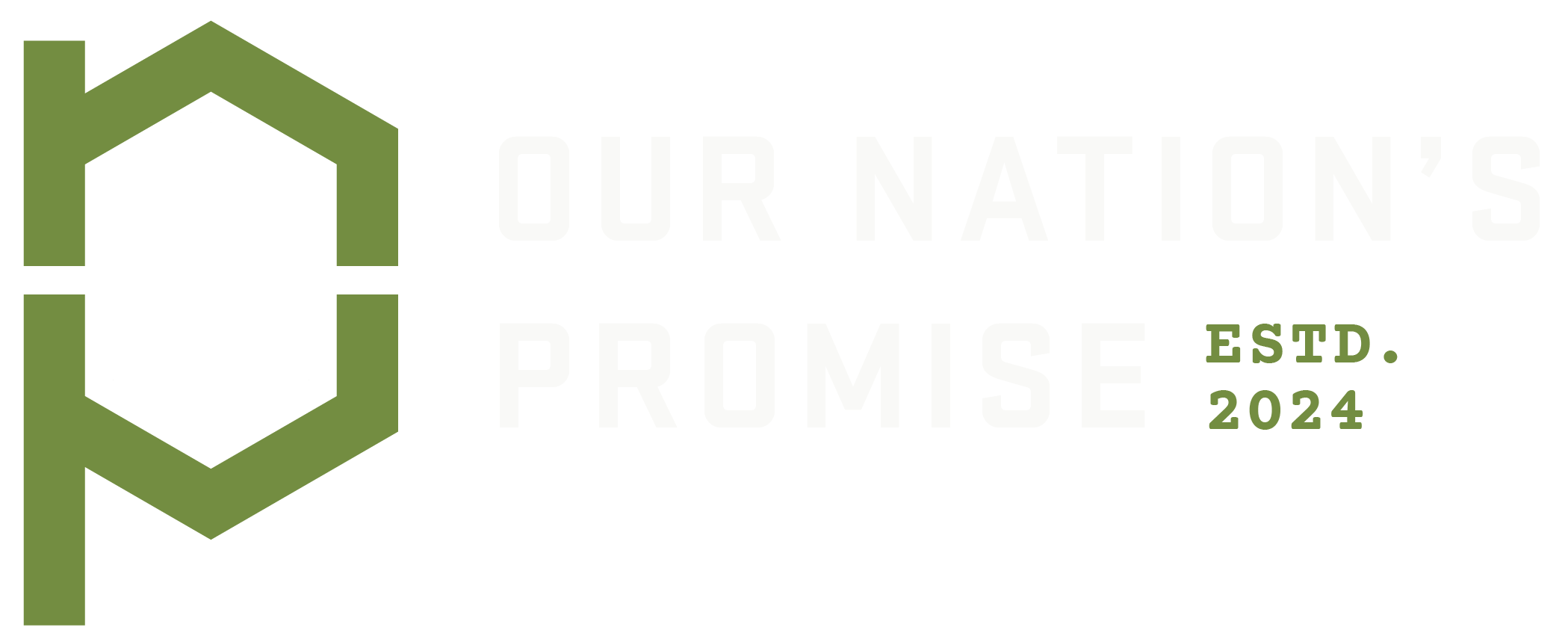 Our Nation's Promise